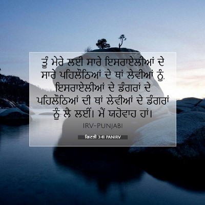 Picture 07 - ਗਿਣਤੀ 3:41 PANIRV - ਤੂੰ ਮੇਰੇ ਲਈ ਸਾਰੇ - Bible Verse Picture