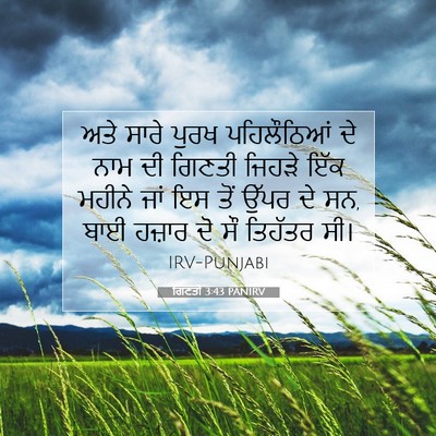 Picture 07 - ਗਿਣਤੀ 3:43 PANIRV - ਅਤੇ ਸਾਰੇ ਪੁਰਖ - Bible Verse Picture