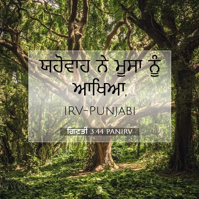 Picture 07 - ਗਿਣਤੀ 3:44 PANIRV - ਯਹੋਵਾਹ ਨੇ ਮੂਸਾ ਨੂੰ - Bible Verse Picture