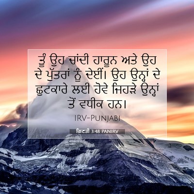Picture 07 - ਗਿਣਤੀ 3:48 PANIRV - ਤੂੰ ਉਹ ਚਾਂਦੀ ਹਾਰੂਨ - Bible Verse Picture