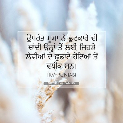 Picture 07 - ਗਿਣਤੀ 3:49 PANIRV - ਉਪਰੰਤ ਮੂਸਾ ਨੇ - Bible Verse Picture