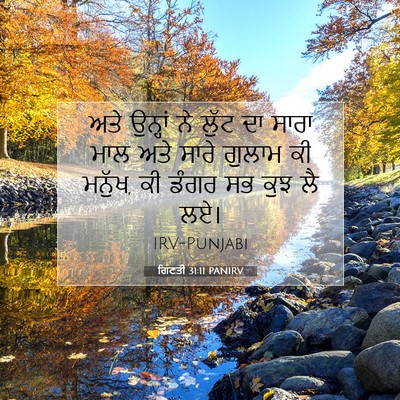 Picture 07 - ਗਿਣਤੀ 31:11 PANIRV - ਅਤੇ ਉਨ੍ਹਾਂ ਨੇ ਲੁੱਟ - Bible Verse Picture