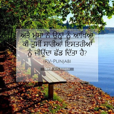 Picture 07 - ਗਿਣਤੀ 31:15 PANIRV - ਅਤੇ ਮੂਸਾ ਨੇ ਉਨ੍ਹਾਂ - Bible Verse Picture