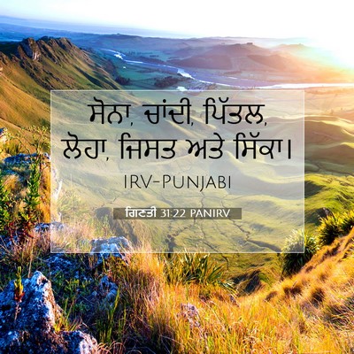 Picture 07 - ਗਿਣਤੀ 31:22 PANIRV - ਸੋਨਾ, ਚਾਂਦੀ, ਪਿੱਤਲ, - Bible Verse Picture