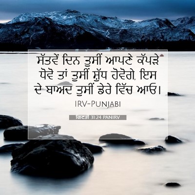 Picture 07 - ਗਿਣਤੀ 31:24 PANIRV - ਸੱਤਵੇਂ ਦਿਨ ਤੁਸੀਂ - Bible Verse Picture