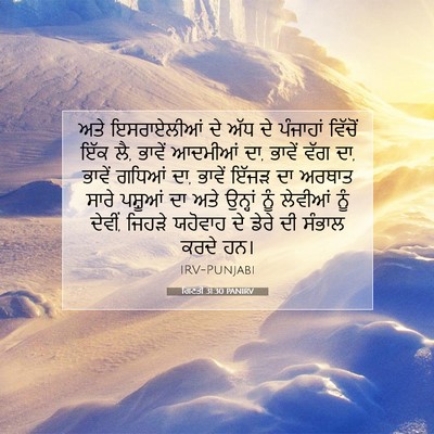 Picture 07 - ਗਿਣਤੀ 31:30 PANIRV - ਅਤੇ ਇਸਰਾਏਲੀਆਂ ਦੇ - Bible Verse Picture