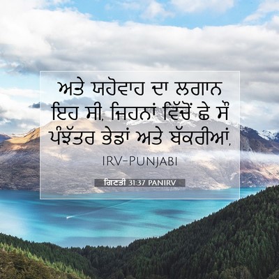 Picture 07 - ਗਿਣਤੀ 31:37 PANIRV - ਅਤੇ ਯਹੋਵਾਹ ਦਾ ਲਗਾਨ - Bible Verse Picture