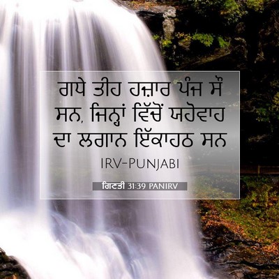 Picture 07 - ਗਿਣਤੀ 31:39 PANIRV - ਗਧੇ ਤੀਹ ਹਜ਼ਾਰ ਪੰਜ - Bible Verse Picture