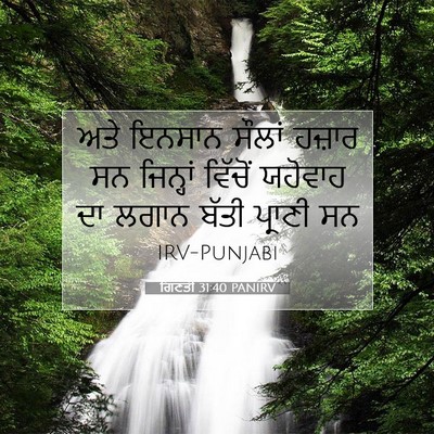 Picture 07 - ਗਿਣਤੀ 31:40 PANIRV - ਅਤੇ ਇਨਸਾਨ ਸੌਲਾਂ - Bible Verse Picture