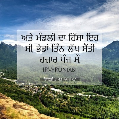 Picture 07 - ਗਿਣਤੀ 31:43 PANIRV - ਅਤੇ ਮੰਡਲੀ ਦਾ ਹਿੱਸਾ - Bible Verse Picture