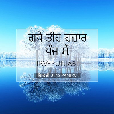 Picture 07 - ਗਿਣਤੀ 31:45 PANIRV - ਗਧੇ ਤੀਹ ਹਜ਼ਾਰ ਪੰਜ - Bible Verse Picture