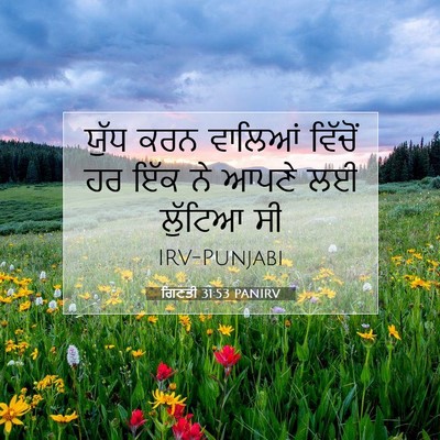 Picture 07 - ਗਿਣਤੀ 31:53 PANIRV - ਯੁੱਧ ਕਰਨ ਵਾਲਿਆਂ - Bible Verse Picture