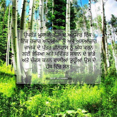 Picture 07 - ਗਿਣਤੀ 31:6 PANIRV - ਉਪਰੰਤ ਮੂਸਾ ਨੇ - Bible Verse Picture