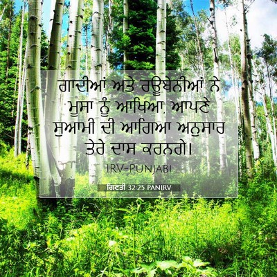 Picture 07 - ਗਿਣਤੀ 32:25 PANIRV - ਗਾਦੀਆਂ ਅਤੇ - Bible Verse Picture