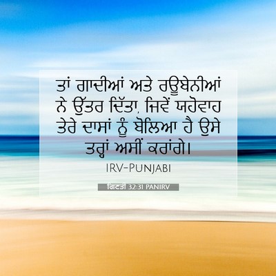 Picture 07 - ਗਿਣਤੀ 32:31 PANIRV - ਤਾਂ ਗਾਦੀਆਂ ਅਤੇ - Bible Verse Picture
