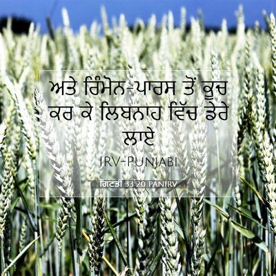 Picture 07 - ਗਿਣਤੀ 33:20 PANIRV - ਅਤੇ ਰਿੰਮੋਨ-ਪਾਰਸ - Bible Verse Picture