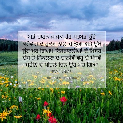 Picture 07 - ਗਿਣਤੀ 33:38 PANIRV - ਅਤੇ ਹਾਰੂਨ ਜਾਜਕ ਹੋਰ - Bible Verse Picture
