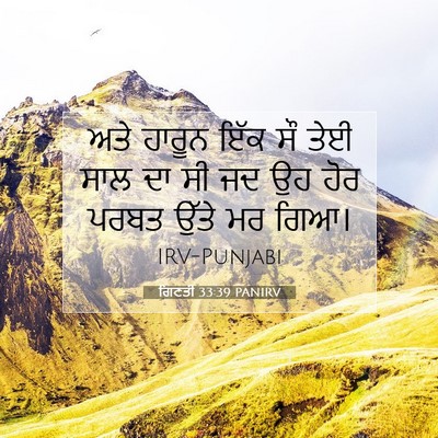 Picture 07 - ਗਿਣਤੀ 33:39 PANIRV - ਅਤੇ ਹਾਰੂਨ ਇੱਕ ਸੌ - Bible Verse Picture
