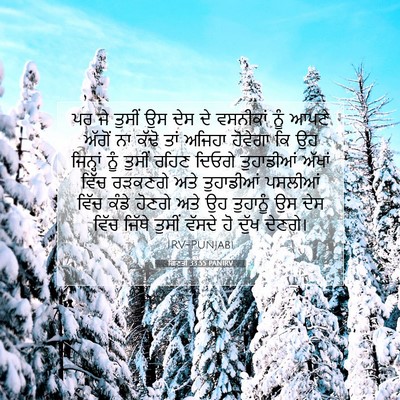 Picture 07 - ਗਿਣਤੀ 33:55 PANIRV - ਪਰ ਜੇ ਤੁਸੀਂ ਉਸ ਦੇਸ - Bible Verse Picture