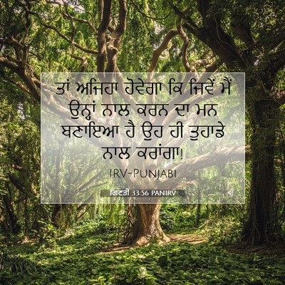 Picture 07 - ਗਿਣਤੀ 33:56 PANIRV - ਤਾਂ ਅਜਿਹਾ ਹੋਵੇਗਾ - Bible Verse Picture