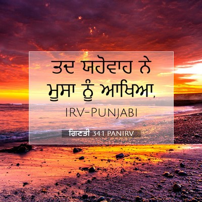 Picture 07 - ਗਿਣਤੀ 34:1 PANIRV - ਤਦ ਯਹੋਵਾਹ ਨੇ ਮੂਸਾ - Bible Verse Picture