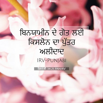 Picture 07 - ਗਿਣਤੀ 34:21 PANIRV - ਬਿਨਯਾਮੀਨ ਦੇ ਗੋਤ ਲਈ - Bible Verse Picture