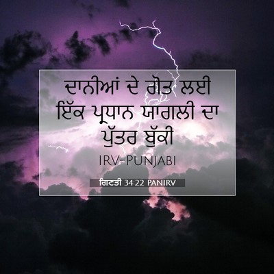 Picture 07 - ਗਿਣਤੀ 34:22 PANIRV - ਦਾਨੀਆਂ ਦੇ ਗੋਤ ਲਈ - Bible Verse Picture