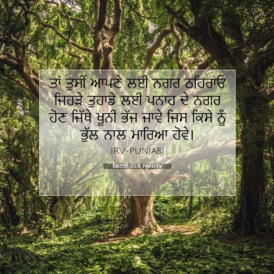 Picture 07 - ਗਿਣਤੀ 35:11 PANIRV - ਤਾਂ ਤੁਸੀਂ ਆਪਣੇ ਲਈ - Bible Verse Picture
