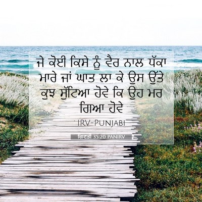 Picture 07 - ਗਿਣਤੀ 35:20 PANIRV - ਜੇ ਕੋਈ ਕਿਸੇ ਨੂੰ ਵੈਰ - Bible Verse Picture
