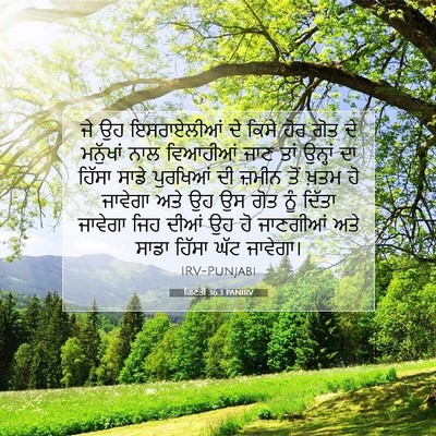 Picture 07 - ਗਿਣਤੀ 36:3 PANIRV - ਜੇ ਉਹ ਇਸਰਾਏਲੀਆਂ ਦੇ - Bible Verse Picture