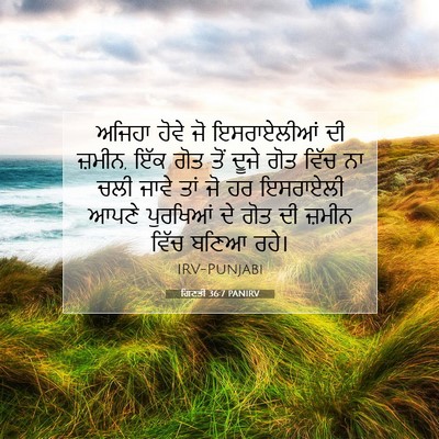 Picture 07 - ਗਿਣਤੀ 36:7 PANIRV - ਅਜਿਹਾ ਹੋਵੇ ਜੋ - Bible Verse Picture