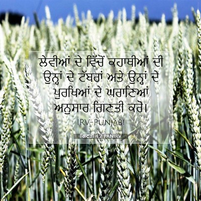 Picture 07 - ਗਿਣਤੀ 4:2 PANIRV - ਲੇਵੀਆਂ ਦੇ ਵਿੱਚੋਂ - Bible Verse Picture