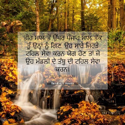 Picture 07 - ਗਿਣਤੀ 4:23 PANIRV - ਤੀਹ ਸਾਲ ਤੋਂ ਉੱਪਰ - Bible Verse Picture