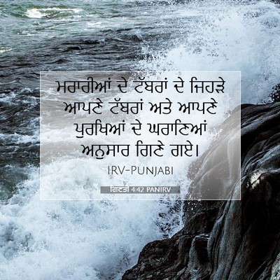 Picture 07 - ਗਿਣਤੀ 4:42 PANIRV - ਮਰਾਰੀਆਂ ਦੇ ਟੱਬਰਾਂ - Bible Verse Picture