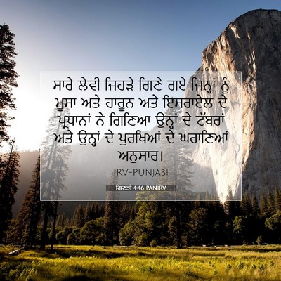 Picture 07 - ਗਿਣਤੀ 4:46 PANIRV - ਸਾਰੇ ਲੇਵੀ ਜਿਹੜੇ - Bible Verse Picture