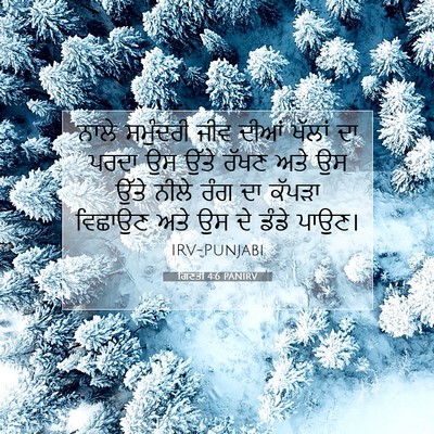 Picture 07 - ਗਿਣਤੀ 4:6 PANIRV - ਨਾਲੇ ਸਮੁੰਦਰੀ ਜੀਵ - Bible Verse Picture