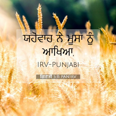 Picture 07 - ਗਿਣਤੀ 5:11 PANIRV - ਯਹੋਵਾਹ ਨੇ ਮੂਸਾ ਨੂੰ - Bible Verse Picture