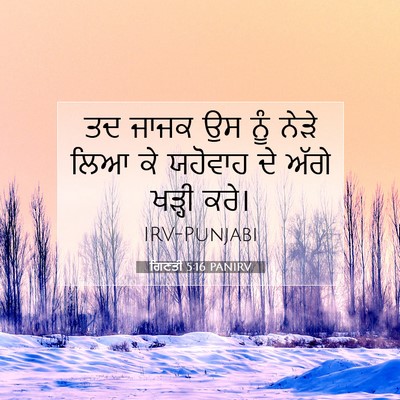 Picture 07 - ਗਿਣਤੀ 5:16 PANIRV - ਤਦ ਜਾਜਕ ਉਸ ਨੂੰ ਨੇੜੇ - Bible Verse Picture