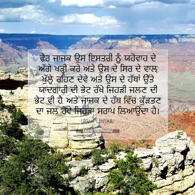 Picture 07 - ਗਿਣਤੀ 5:18 PANIRV - ਫੇਰ ਜਾਜਕ ਉਸ ਇਸਤਰੀ - Bible Verse Picture