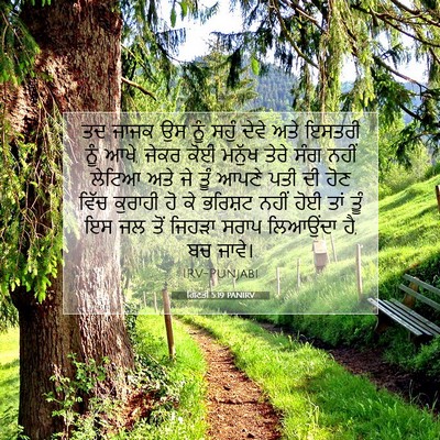 Picture 07 - ਗਿਣਤੀ 5:19 PANIRV - ਤਦ ਜਾਜਕ ਉਸ ਨੂੰ ਸਹੁੰ - Bible Verse Picture