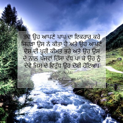 Picture 07 - ਗਿਣਤੀ 5:7 PANIRV - ਤਦ ਉਹ ਆਪਣੇ ਪਾਪ ਦਾ - Bible Verse Picture