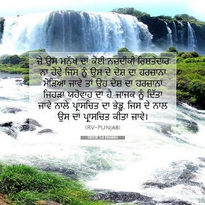 Picture 07 - ਗਿਣਤੀ 5:8 PANIRV - ਜੇ ਉਸ ਮਨੁੱਖ ਦਾ ਕੋਈ - Bible Verse Picture