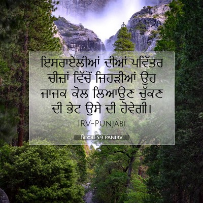 Picture 07 - ਗਿਣਤੀ 5:9 PANIRV - ਇਸਰਾਏਲੀਆਂ ਦੀਆਂ - Bible Verse Picture