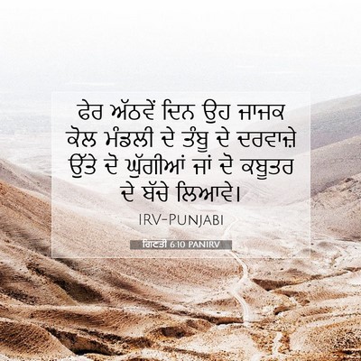 Picture 07 - ਗਿਣਤੀ 6:10 PANIRV - ਫੇਰ ਅੱਠਵੇਂ ਦਿਨ ਉਹ - Bible Verse Picture