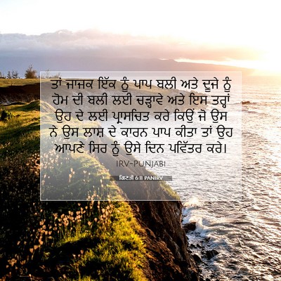 Picture 07 - ਗਿਣਤੀ 6:11 PANIRV - ਤਾਂ ਜਾਜਕ ਇੱਕ ਨੂੰ - Bible Verse Picture
