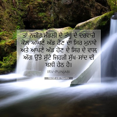 Picture 07 - ਗਿਣਤੀ 6:18 PANIRV - ਤਾਂ ਨਜ਼ੀਰ ਮੰਡਲੀ ਦੇ - Bible Verse Picture