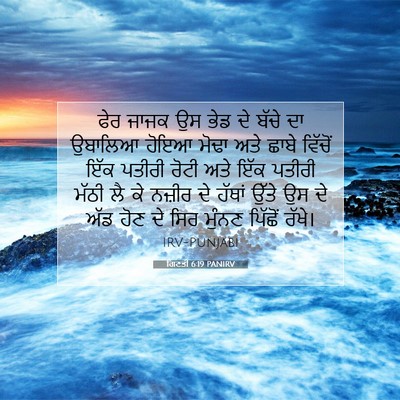 Picture 07 - ਗਿਣਤੀ 6:19 PANIRV - ਫੇਰ ਜਾਜਕ ਉਸ ਭੇਡ ਦੇ - Bible Verse Picture