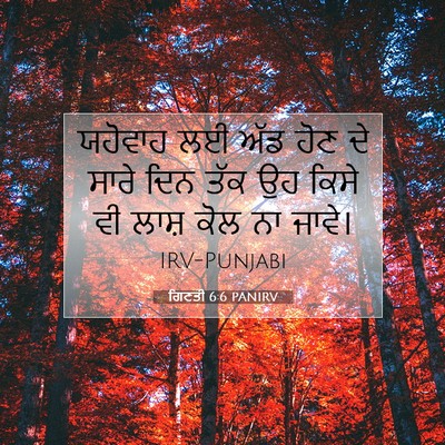 Picture 07 - ਗਿਣਤੀ 6:6 PANIRV - ਯਹੋਵਾਹ ਲਈ ਅੱਡ ਹੋਣ - Bible Verse Picture