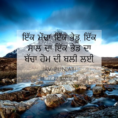 Picture 07 - ਗਿਣਤੀ 7:15 PANIRV - ਇੱਕ ਮੇਂਢਾ, ਇੱਕ - Bible Verse Picture