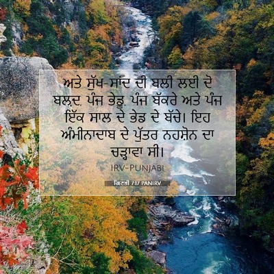 Picture 07 - ਗਿਣਤੀ 7:17 PANIRV - ਅਤੇ ਸੁੱਖ-ਸਾਂਦ ਦੀ - Bible Verse Picture